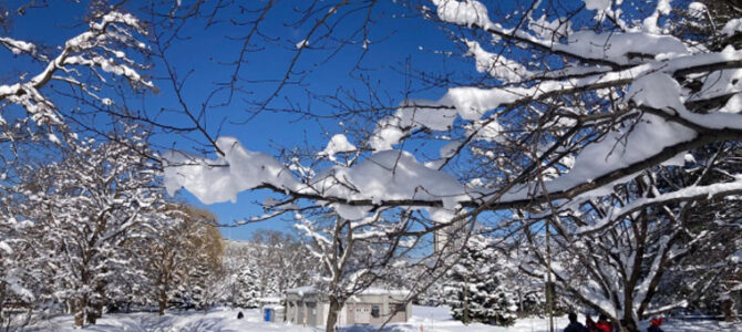 本日橿原市は朝から雪が積もっておりました！