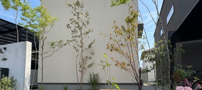 植栽工事追加写真　